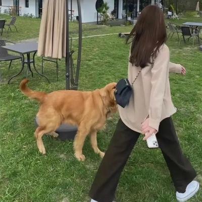 红色日蚀